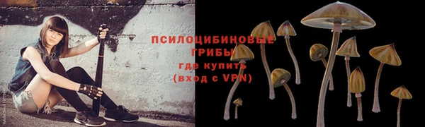 прущая мука Верея