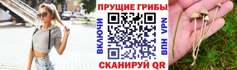Галлюциногенные грибы Magic Shrooms Разумное