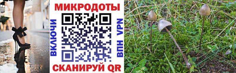 shop наркотические препараты  Разумное  Псилоцибиновые грибы прущие грибы 